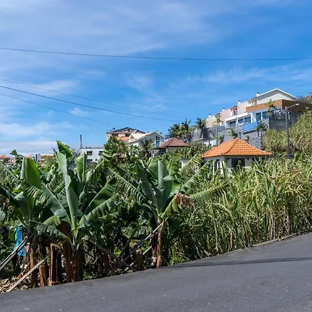 Traditional Stone - Digital Nomad Paradise * Ponta do Sol (Madeira)